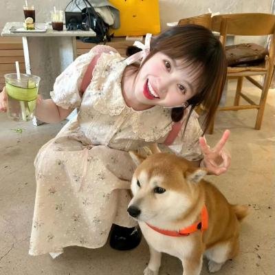 假装情侣